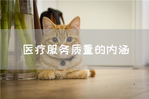 医疗服务质量的内涵(图1)