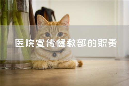 医院宣传健教部的职责(图1)