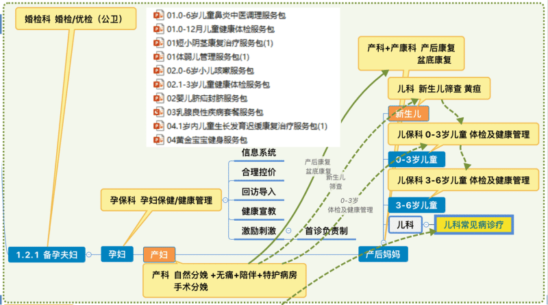 医疗延伸服务产品化创新项目咨询建议书(图7)